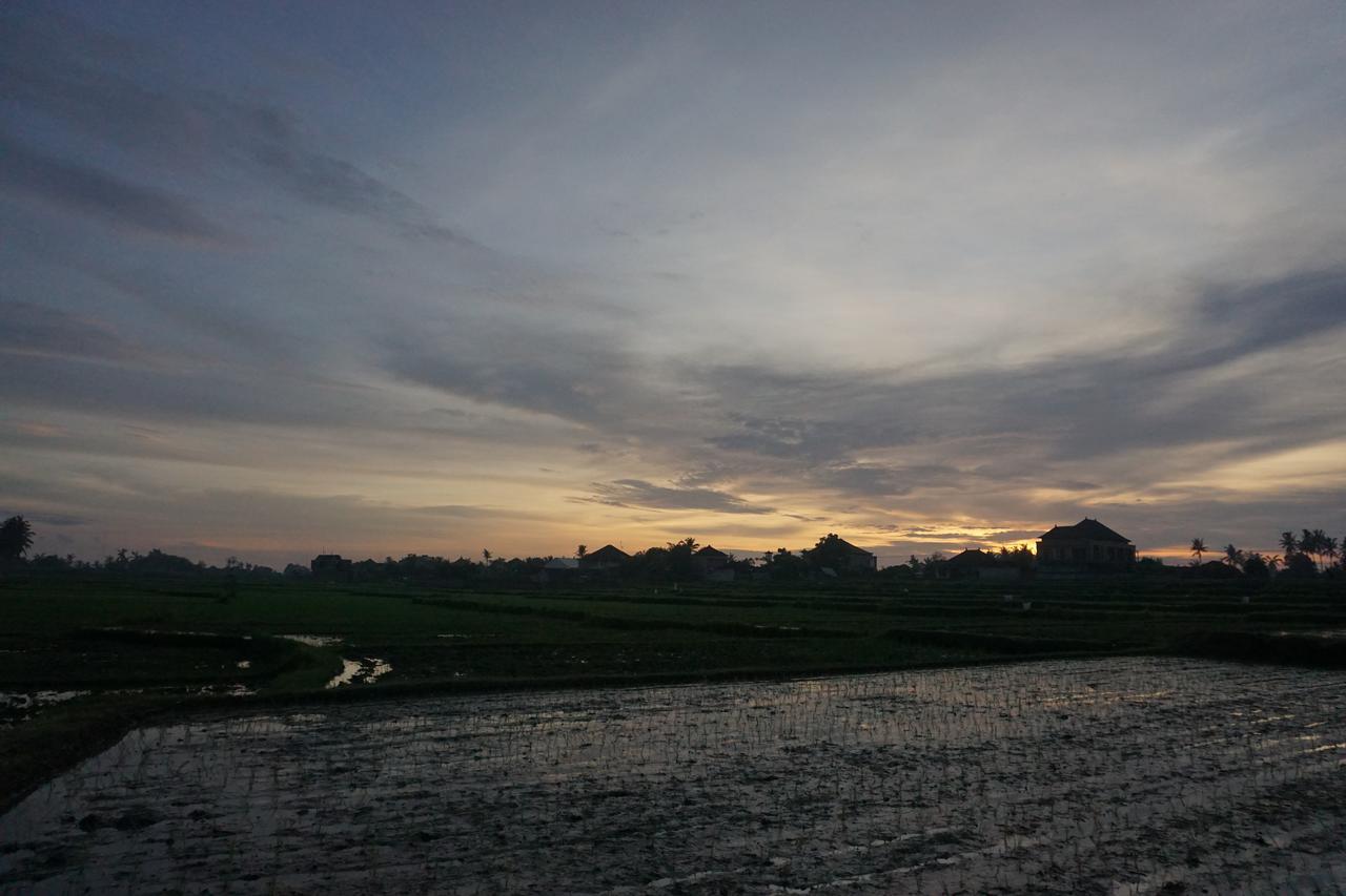 Pondok Uma Ubud Esterno foto
